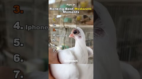 Funniest Medazelli#ranking #medazelli #tiktok