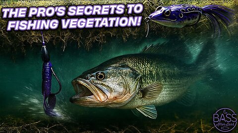 How do you fish vegetation? (ft. Bobby Barrack, Jeff Holland, and John Cox)