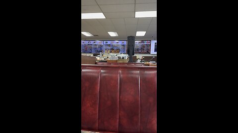 Greek and ARAB food. Daily Bread restaurant. Miami. 8-9-25