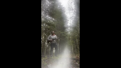 Plinking in the rain