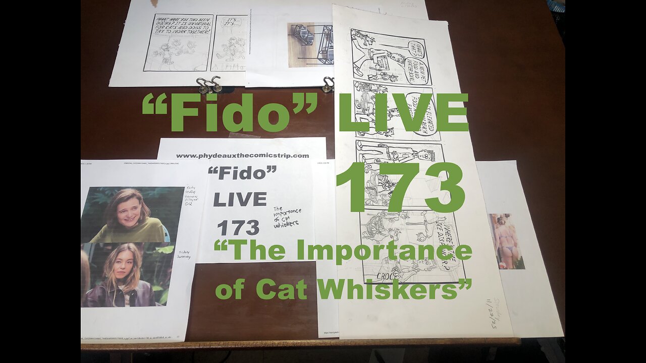 "Fido" LIVE 173: "The Importance of Cat Whiskers"