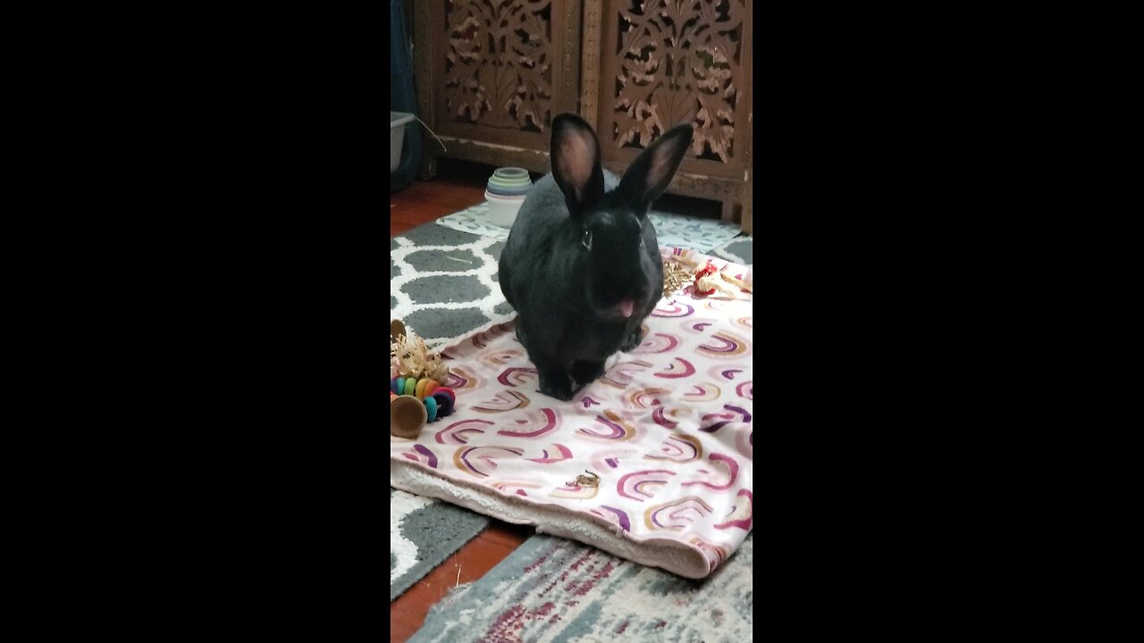 He likes licking his blankey