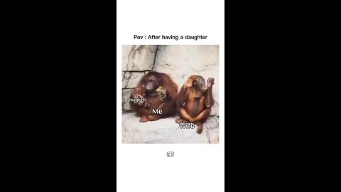 Monkey Business: A Day of Fun with Our Little Primate Family!