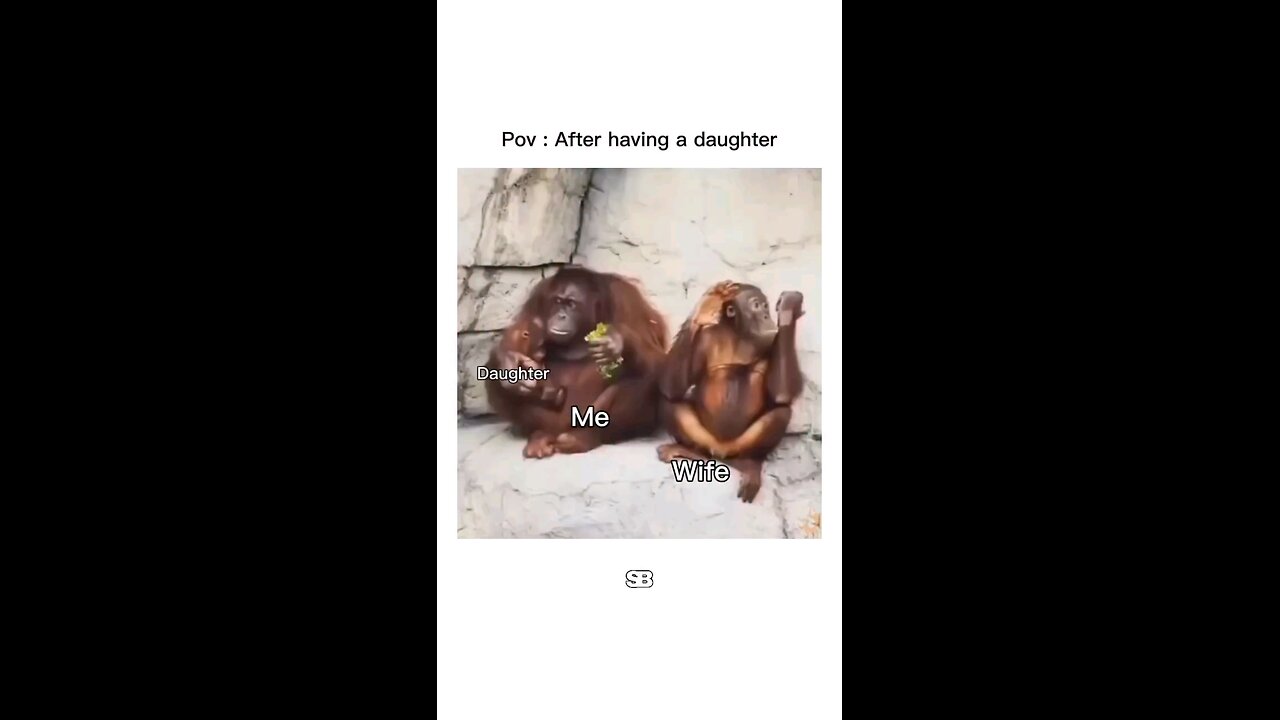 Monkey Business: A Day of Fun with Our Little Primate Family!