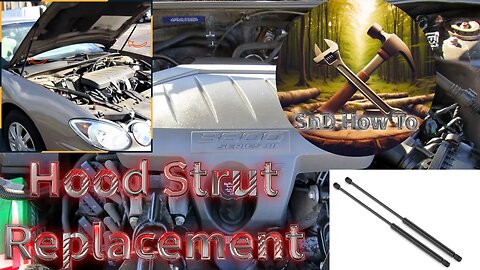Hood Strut Replacement