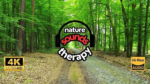Birdsong on a Forest Road; Stunning Sounds of Nature