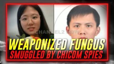 The Communist Chinese Spies Indicted For Smuggling Weaponized Fungus Into USA!