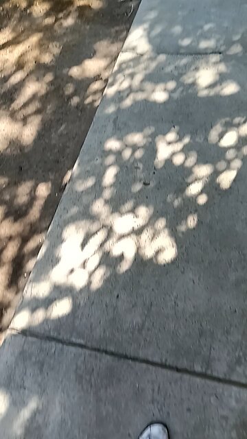 Robert L Jensen Illegal