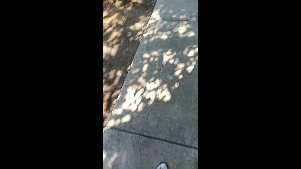 Robert L Jensen Illegal