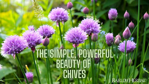 The Health Benefits of Chives