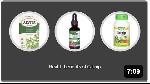 Catnip - Herbal Medicine - Benefits, Uses & Side Effects