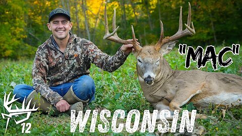 Wisconsin Archery GIANT Whitetail