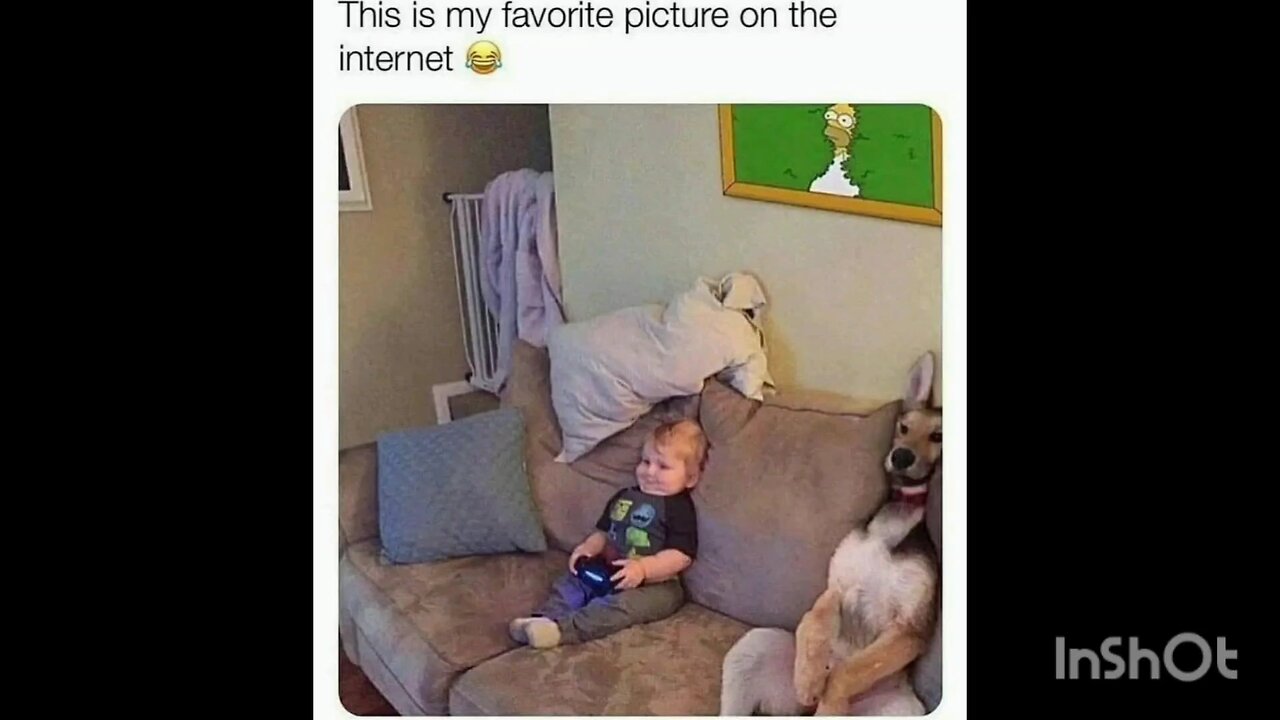 This is my favorite picture on the internet