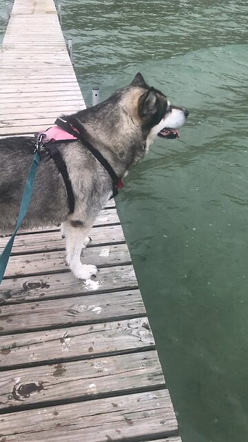 Saturday May 17, No one could be found who was worthy.