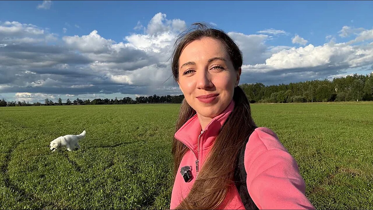 Moving out of Moscow? (the harsh reality) 🇷🇺 | Russia Vlog