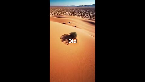 The country with no desert