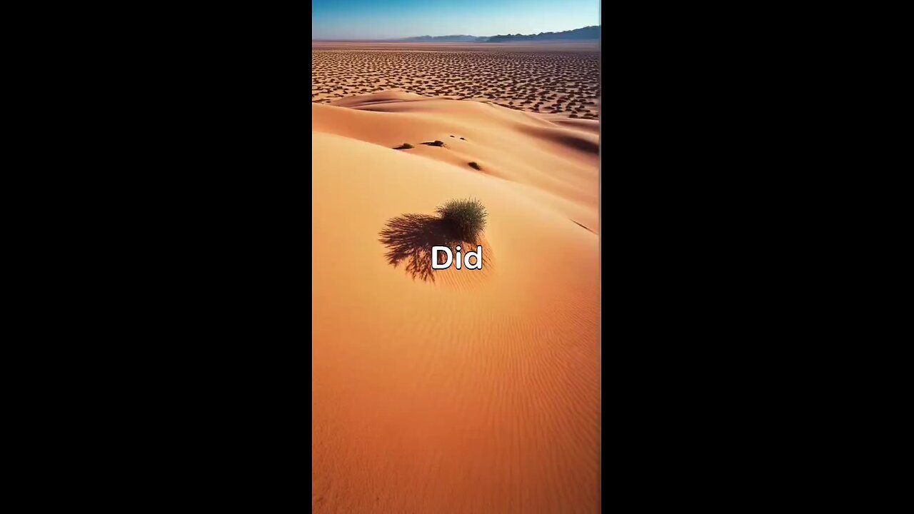 The country with no desert