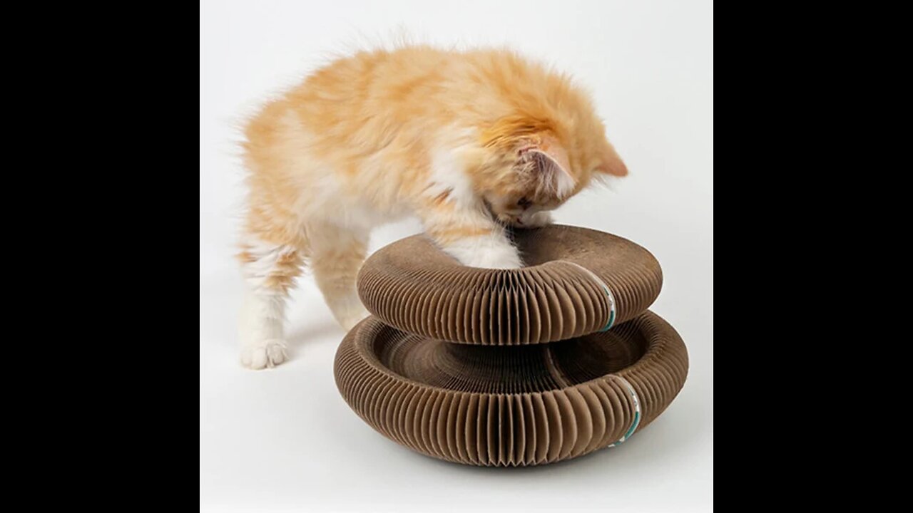 Portable Transformable Cat Scratcher with Multiple Shapes