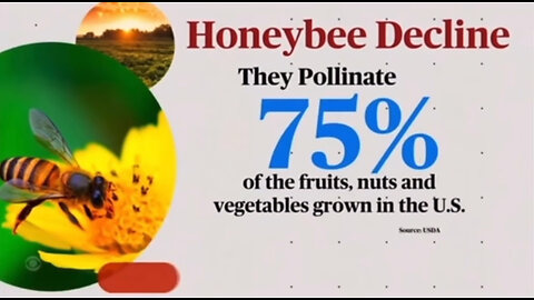 Our bees are dying. A potential disaster to our food supply!