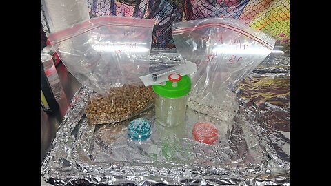 Inoculation for Donations My 🎁 Gift to those who participate Mycology Mondays #130