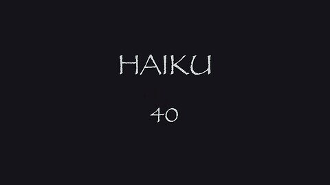 HAIKU 40