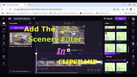 Add The Scenery Filter In Clipchamp