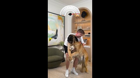 dog weite cheking 🐶🐕