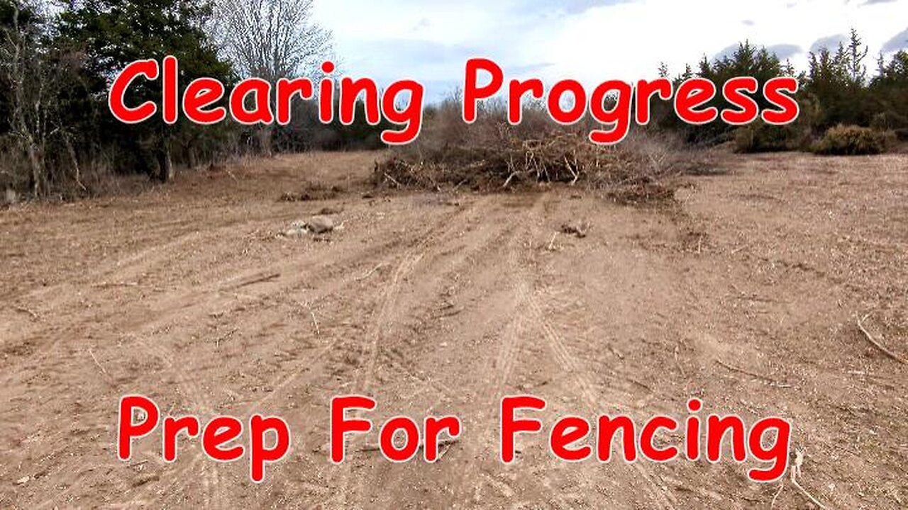 Clearing Progress Winter 2024 2025 At The New Regenerative Farm