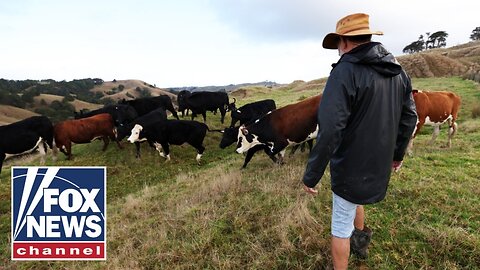 Trump orders DOJ to probe soaring beef prices ‘jeopardizing’ US food supply