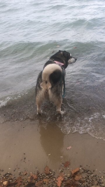 Friday October 31, You can’t ignore God and get away with it