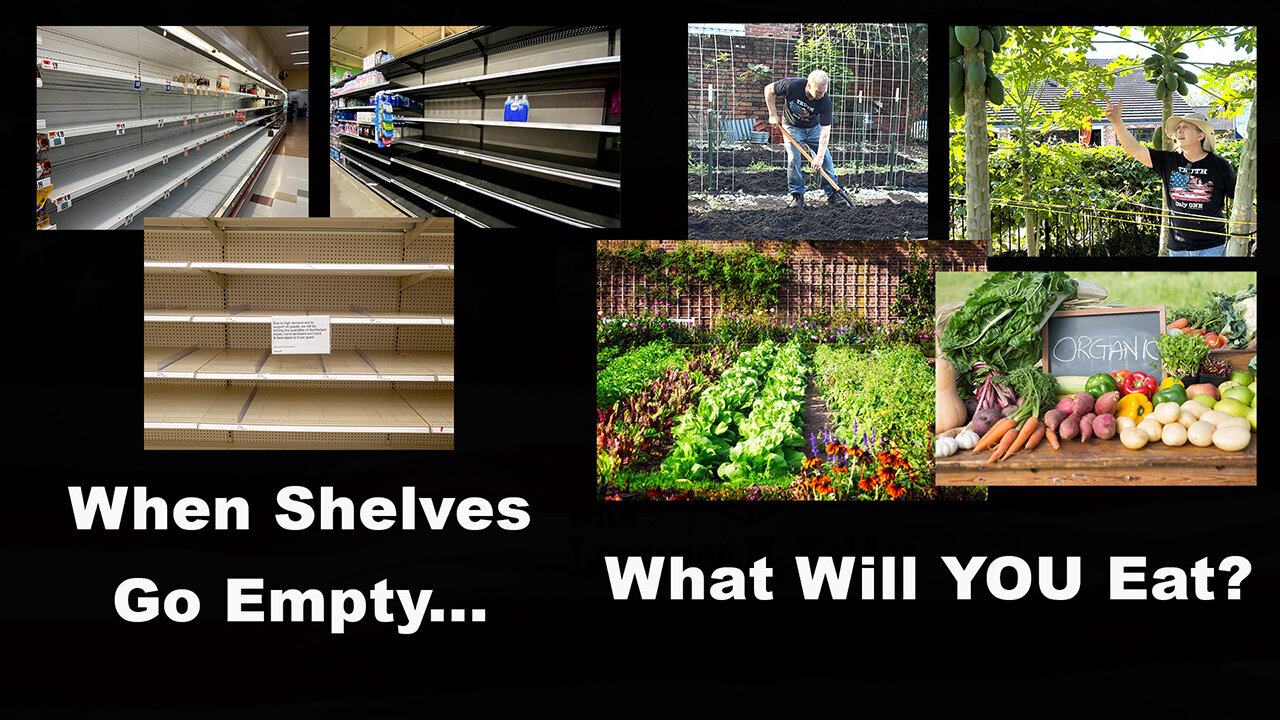 When Shelves Go Empty... What Will YOU Eat? Be Prepared. Stay Alive! (Ep. #00144)