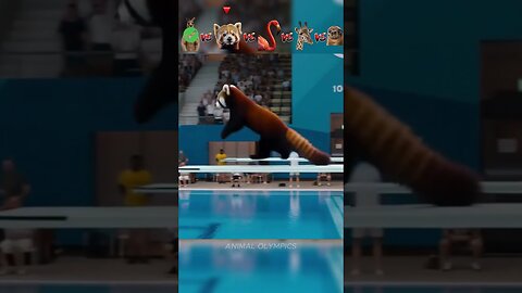 Kangaroo vs Racoon vs Flamingo vs Giraffe vs Seal-Olympic Diving Challenge