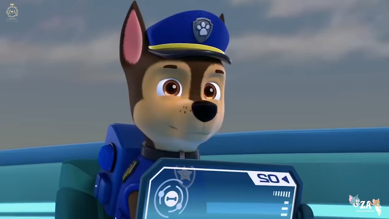 PAW Patrol Cartoons