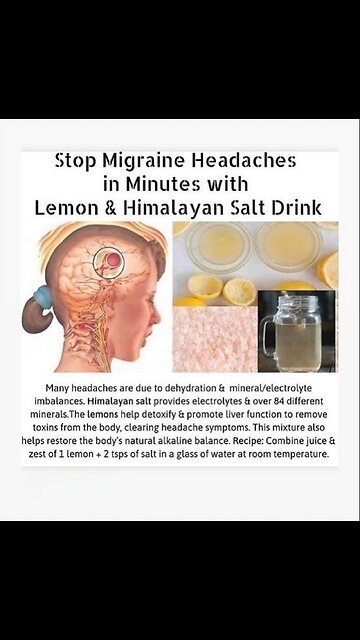 Trees like elms and pines use chemical communication to defend themselves against,