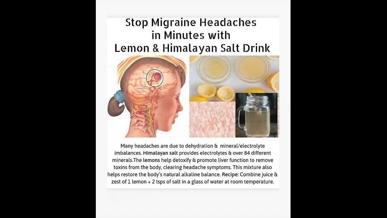 Trees like elms and pines use chemical communication to defend themselves against,