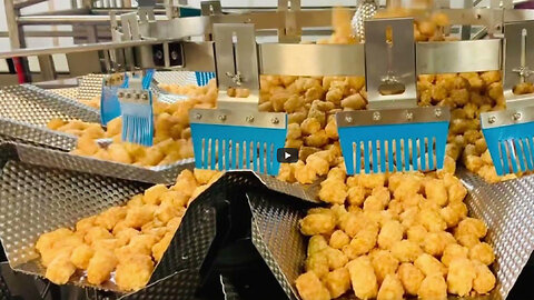 CRISPY TOTS - High Tek USA 14 Head 7.5L Weigher W/ Bosch Syntegon Continuous Motion VFFS & VideoJet