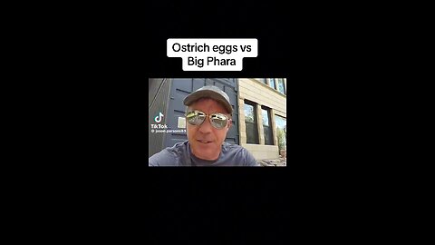 The Real Reason The Government Wants To Murder The Ostriches