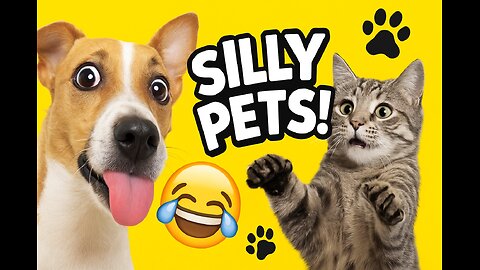 Funniest Silly Pets You’ll See Today 😂🐾 | Try Not to Laugh Challenge
