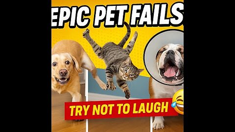 Funny Animal Fails Compilation 2025 😂Try Not to Laugh Challenge 😂 Epic Pet Fails & Viral Moments!