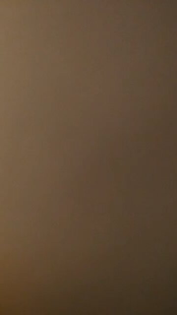 Joe Biden challenges Trump to a fight and Pleads for Elon Musk to come back to Democrats