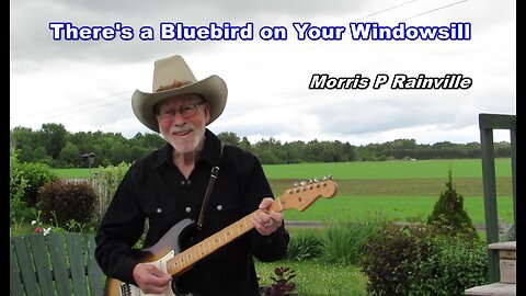 There's A Bluebird on Your Windowsill