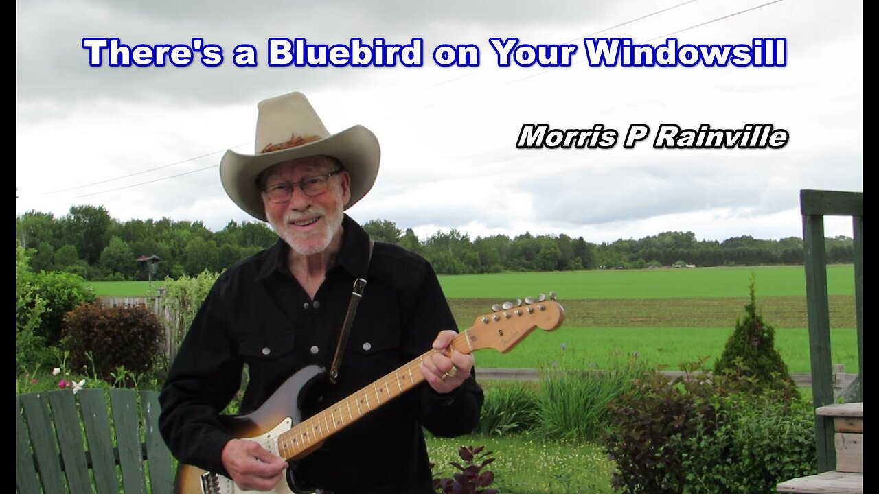 There's A Bluebird on Your Windowsill