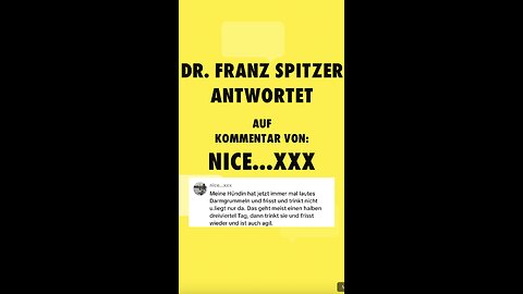 Ihr Hund frisst nicht!