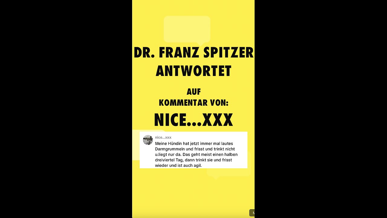 Ihr Hund frisst nicht!