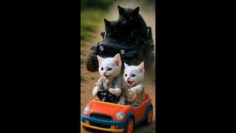 Animals channel