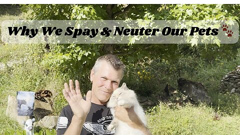 Let’s Talk! Answering a Viewer on Spay/Neutering Dogs & Cats