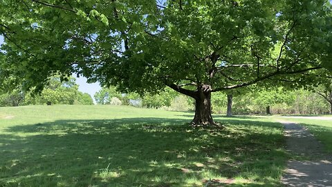 Medical Trauma walk and talk at MetFern Cemetery part 1