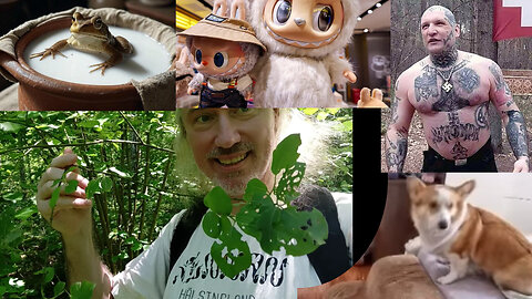 Hot bath + milk with frog. Fat-NZ. Death-job politics. AI-madness. False flag Nazi. Laser vs weeds