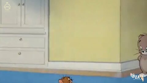 Tom and Jerry Cartoons
