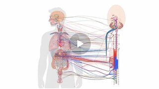 A Bio-Digital Convergence Discussion- Part I| The Vaxxed Will KNOW What They Have Done Soon!